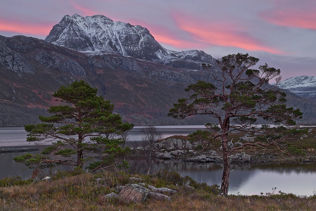 Scots Pines against a backdrop of Loch Maree and Slioch in the gloaming